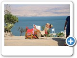Masada_IMG_2095